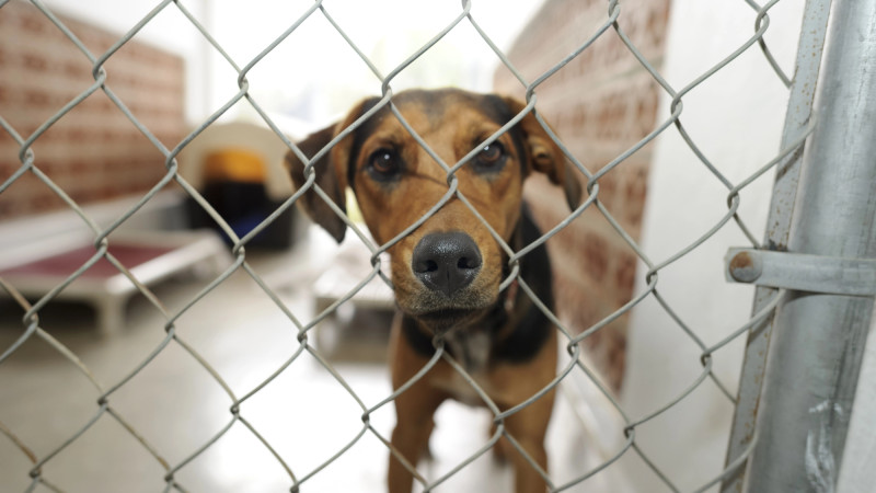 Фото:depositphotos.com