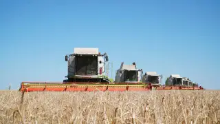 Как проходит уборочная кампания в Акмолинской области