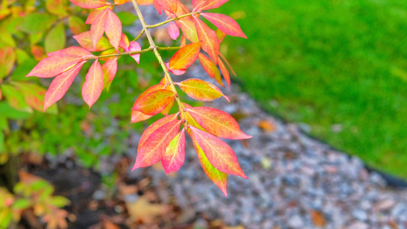 Фото:depositphotos.com