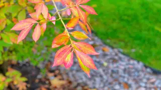 Казахстан ждёт контрастная погода: от жары до гроз с порывами ветра