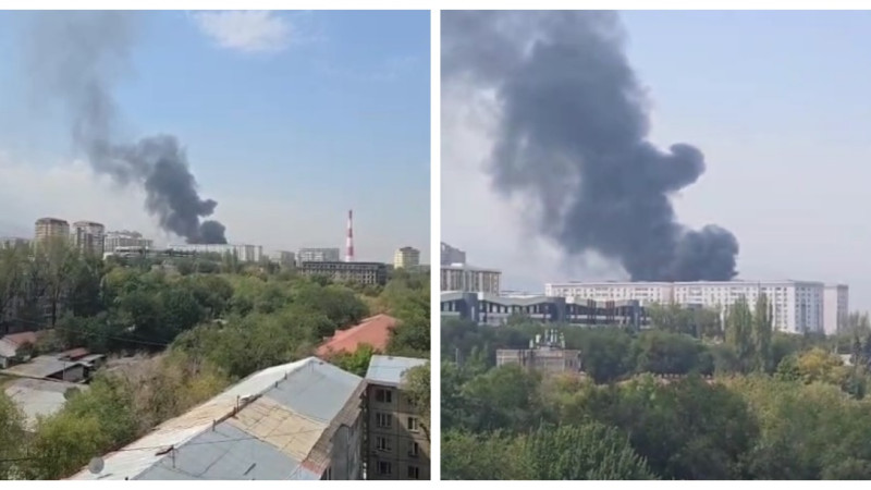 Кадры видео очевидца