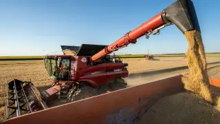 “Постыдная ситуация!“ Токаев о зависимости Казахстана от импортных продуктов