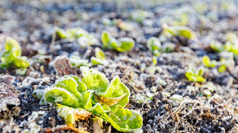 Фото:depositphotos.com