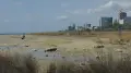 Петиция Save the Caspian Sea собрала более 50 тысяч подписей