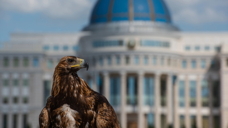 Фото:depositphotos.com