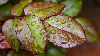 Резкое похолодание и грозы: синоптики рассказали, где ждать непогоду в Казахстане