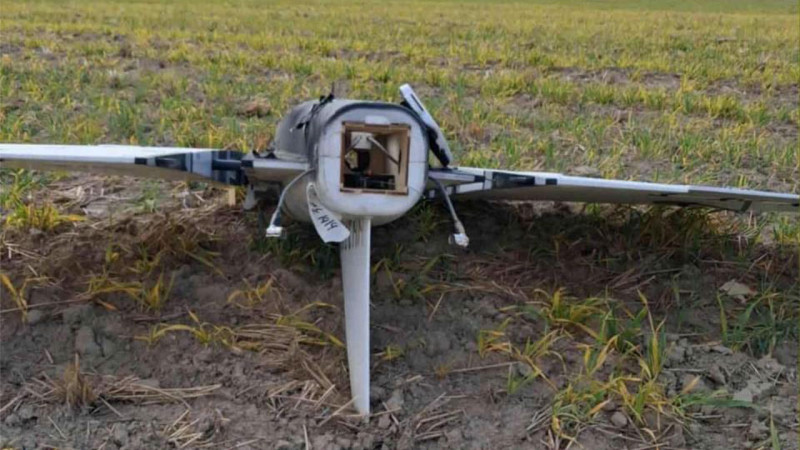 Фото из социальных сетей