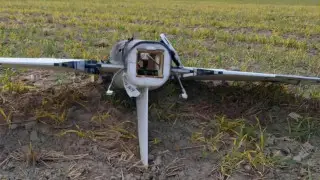 Польша потребовала экстренного заседания ООН из-за вторжения дронов