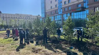 Масштабный экологический месячник стартовал в Астане