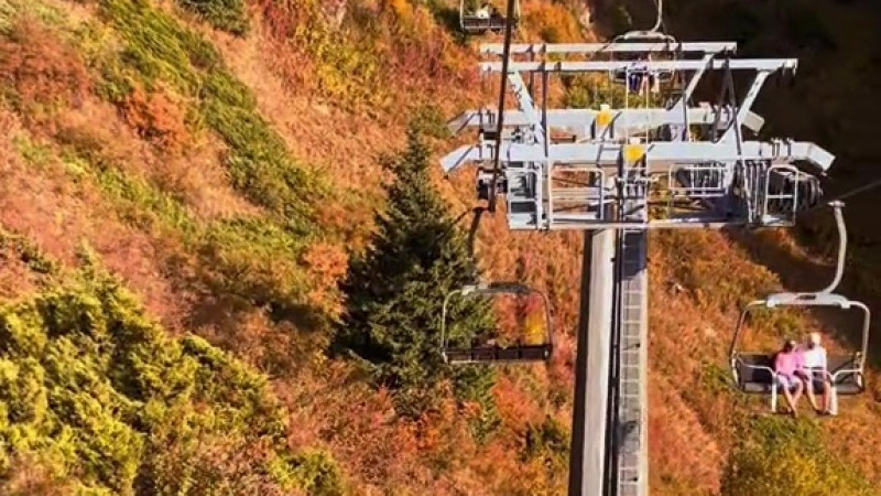 Кадр из видео