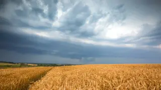Сильный ветер и грозы накроют Казахстан: где ждать непогоду