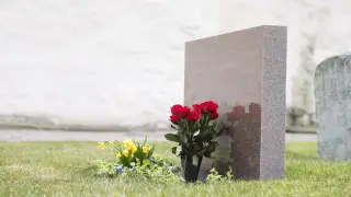 Брусчатка отдыхает: наглую кражу плитки с набережной сняли на видео в Алматы