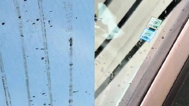 Кадры из видео