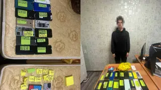 Полиция раскрыла молодежную сеть, помогавшую интернет-мошенникам