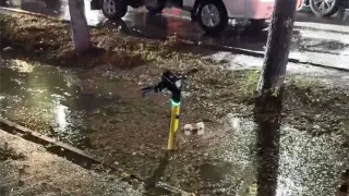 Город, где дождь - это катастрофа: что не так с арыками в Алматы