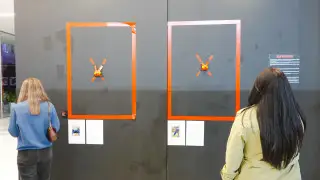 Лимоны вместо картин: новая выставка в Астане поразила казахстанцев