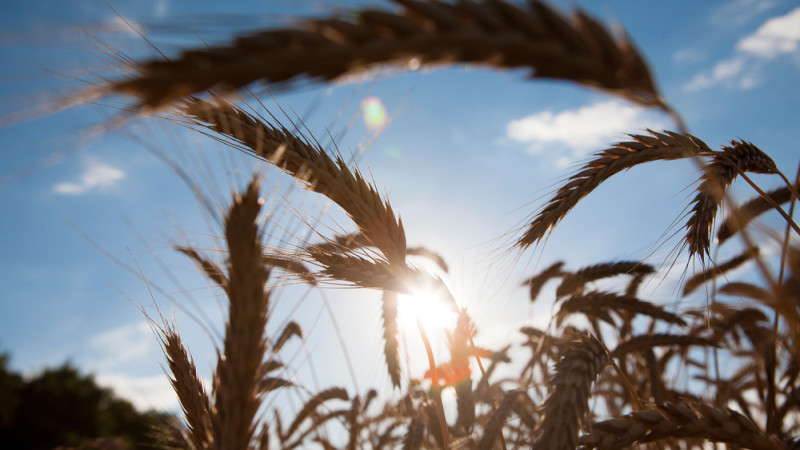 Фото:depositphotos.com