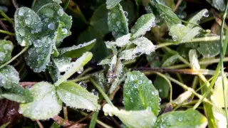 Заморозки и дожди придут в Казахстан: в правительстве озвучили прогноз