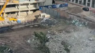 Астанчане недовольны вырубкой деревьев из-за очередной стройки