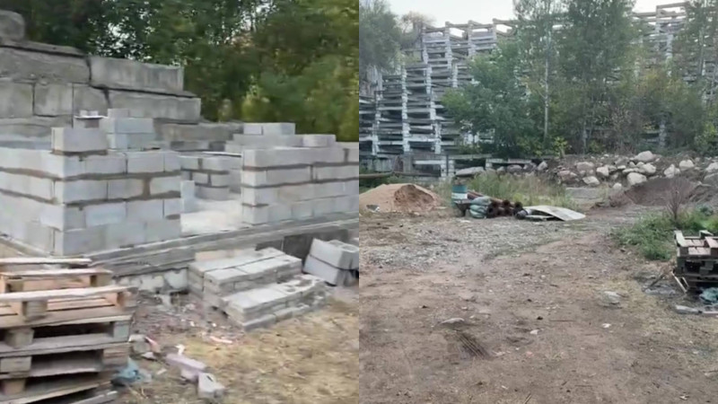 Скриншот из видео в Instagram @saulebikiteeva