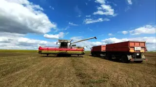 В Акмолинской области завершается уборочная кампания