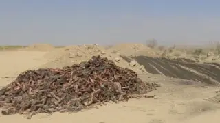 Жители нескольких сел в Туркестанской области потребовали закрыть скотомогильник