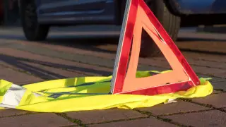 Сбил животное на дороге: штрафы и последствия для водителей