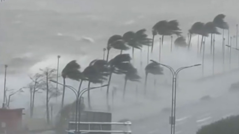 Кадр из видео