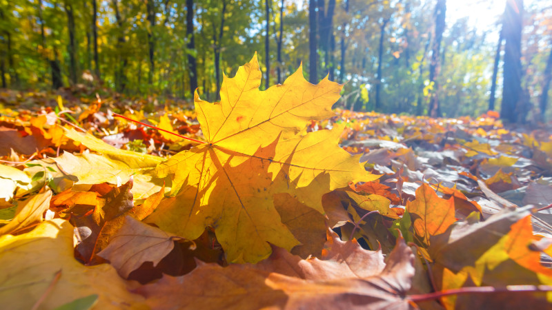 Фото:depositphotos.com