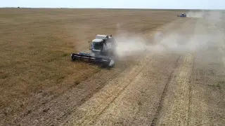 Урожай зерна в Акмолинской области близится к рекордному