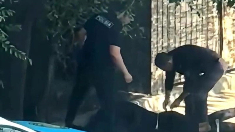 Скриншот видео из Instagram страницы @kris_p_brothers