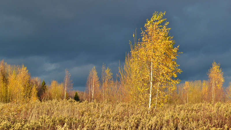 Фото:depositphotos.com