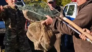 Детёныш редкого животного забрался во двор дома в Акмолинской области