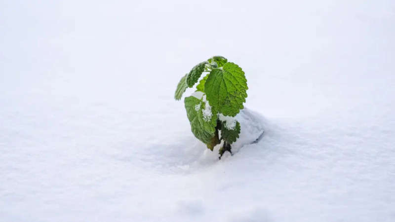 Фото:depositphotos.com