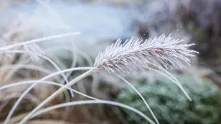 Заморозки и снег с дождём: синоптики объявили штормовые предупреждения