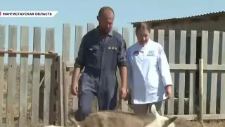 Супруги-сыроделы из Мангистауской области получили мировое признание