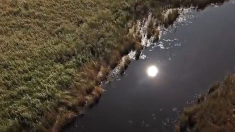 Кадр из видео: youtube.com