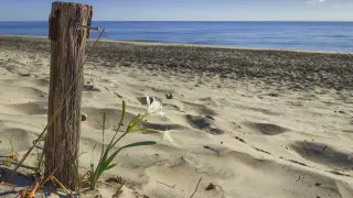 Нарушение правил на пляжах Турции обойдется туристам более чем в 7 миллионов тенге