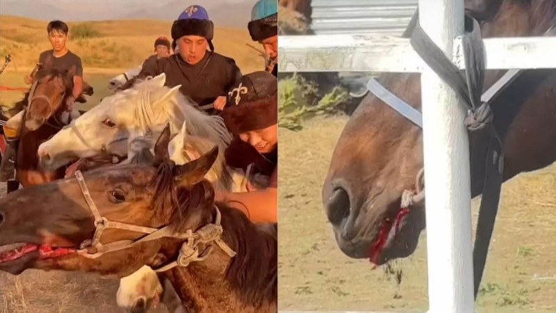 Скриншоты из видео в соцсетях