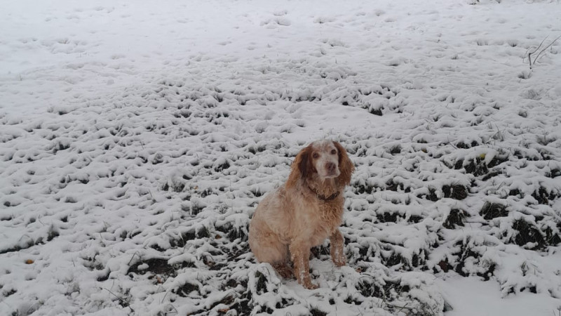 Фото читателя Tengrinews.kz