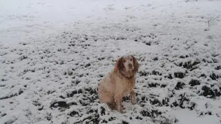 Почему выпал снег в сентябре и какая погода ждёт Казахстан дальше