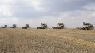 В Акмолинской области заканчивается уборочная кампания