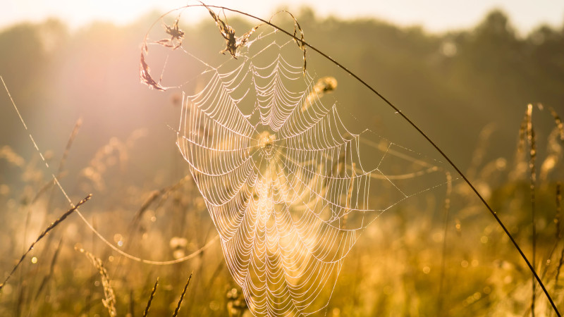 Фото:depositphotos.com