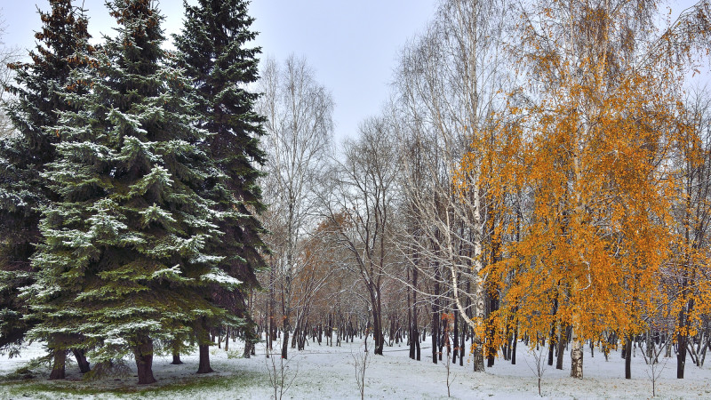 Фото:depositphotos.com