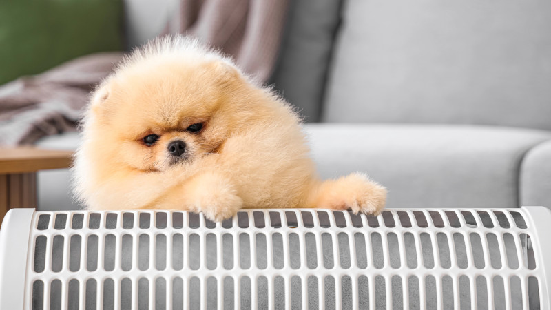 Фото:depositphotos.com