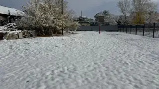 Первый снег в Карагандинской области: жители делятся фото и видео