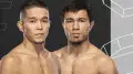 Дисквалификацией из UFC обернулась отмена боя Казахстан - Узбекистан