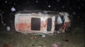 Toyota Аlphard врезалась в лошадь под Павлодаром: погибли два человека