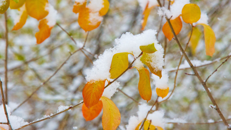 Фото:depositphotos.com