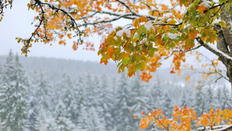 Фото:depositphotos.com